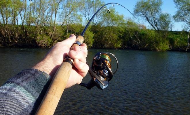 Как ловить форель осенью, на что и где