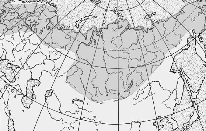 Как выглядит рыба пелядь: фото и описание, как поймать и приготовить