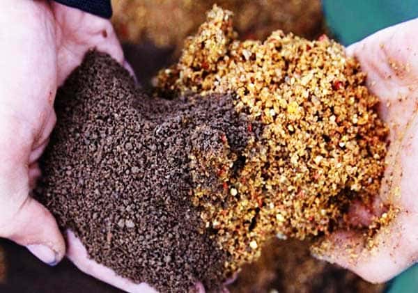 Как поймать белого амура и на что: снасти, наживки и советы