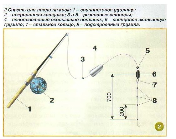 Ловля сома на квок: полное руководство для новичков с нуля