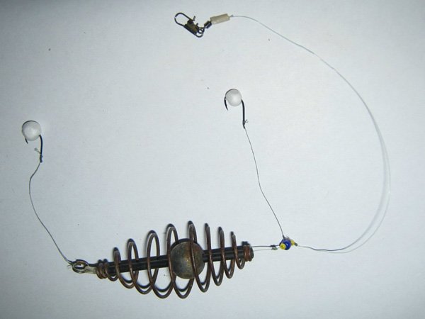 Успешная и эффективная рыбалка на карася: ловля весной, летом и осенью