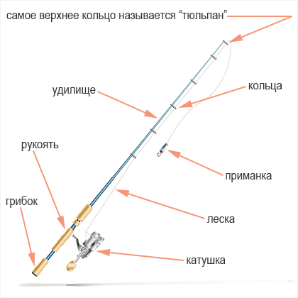 Как выбирать спиннинг для ловли хищной рыбы: советы для начинающих
