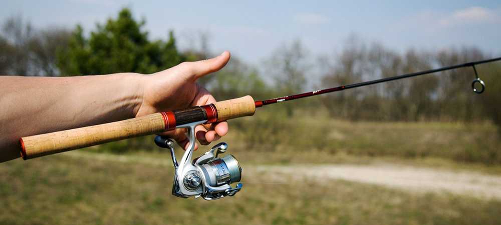 Как выбрать спиннинг для микроджига: критерии, бюджетные и топовые модели на 2025 год