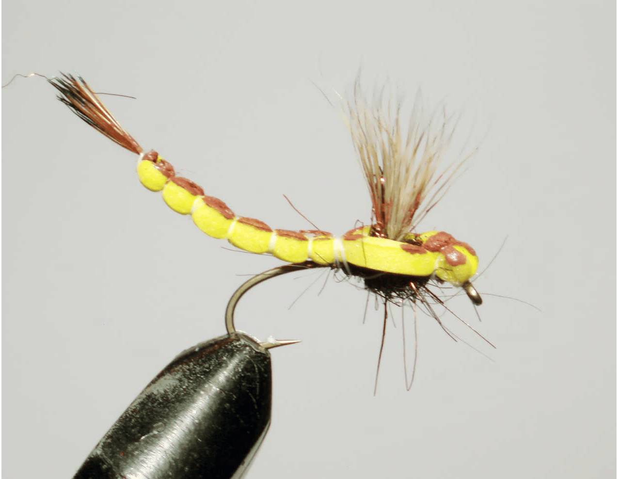 Муха стрекоза