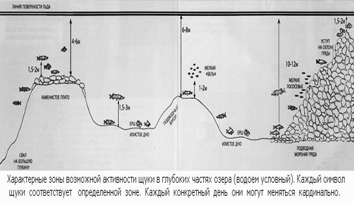 Рыбалка зимой на щуку на жерлицы: оснастка и установка, секреты ловли