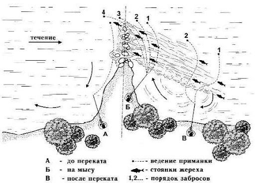 Жерех осенью: повадки и ловля в сентябре, октябре и ноябре
