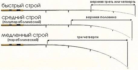 Как выбирать спиннинг для ловли хищной рыбы: советы для начинающих