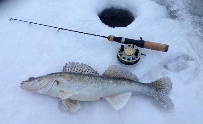 Выбор удочки для зимней рыбалки, лучшие удильники для подледного лова