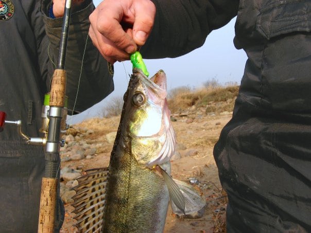 Рыбалка в Карелии - отчеты сезона 2025, карта рыболовных мест