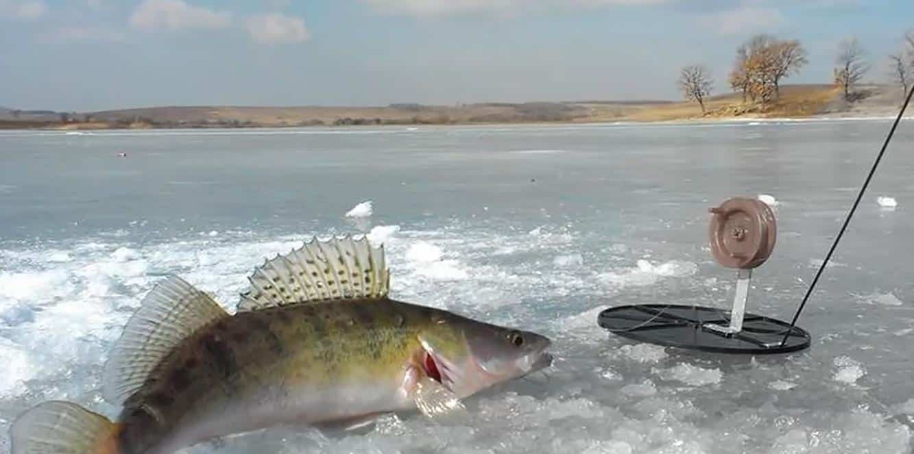 Рыбалка в ноябре: ловля с берега и лодки, календарь клева 2025