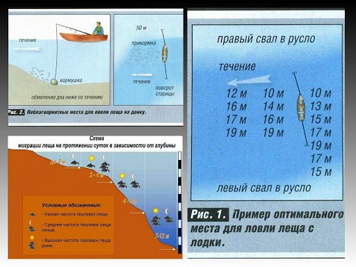 Ловля леща на фидер на реке и водоемах без течения: оснастка, тактика рыбалки