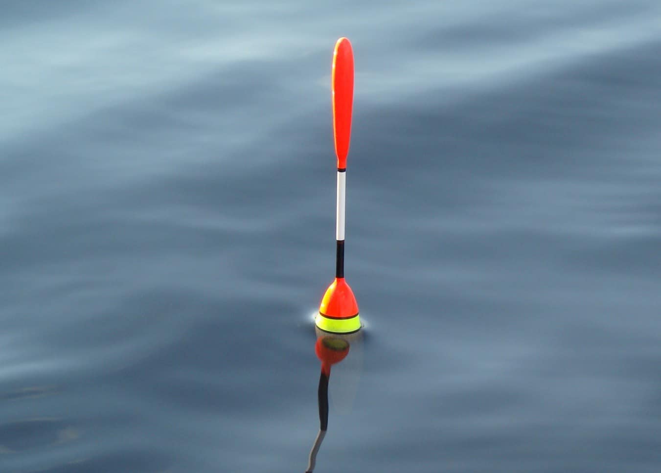 Какие бывают поплавки для рыбалки: разновидности с фото и выбор