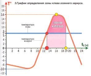 Хариус осенью: места его стоянки, повадки и ловля