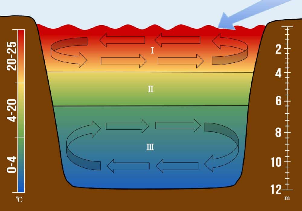 Когда следует использовать пелагический джиг и каким образом сделать его эффективным