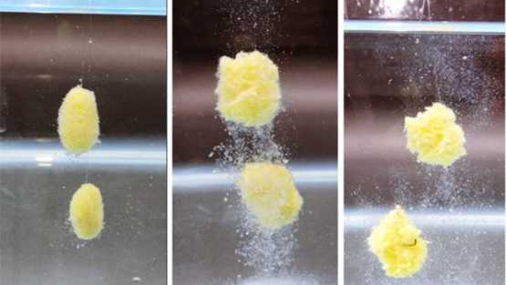 Самодельные кормушки для рыбалки летней и зимней: чертежи и фото