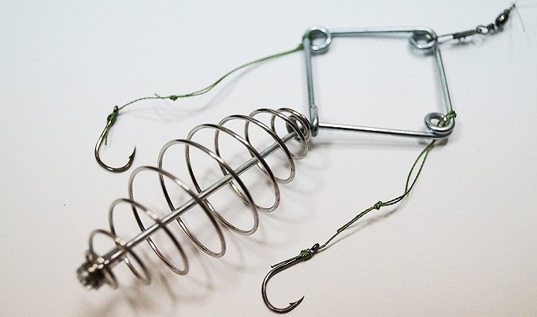 Толстолобик осенью: повадки, поиск и ловля