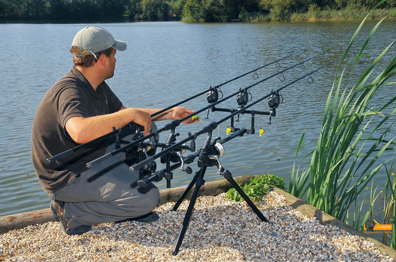 Ловля карпа летом в июне, в июльскую жару и в августе