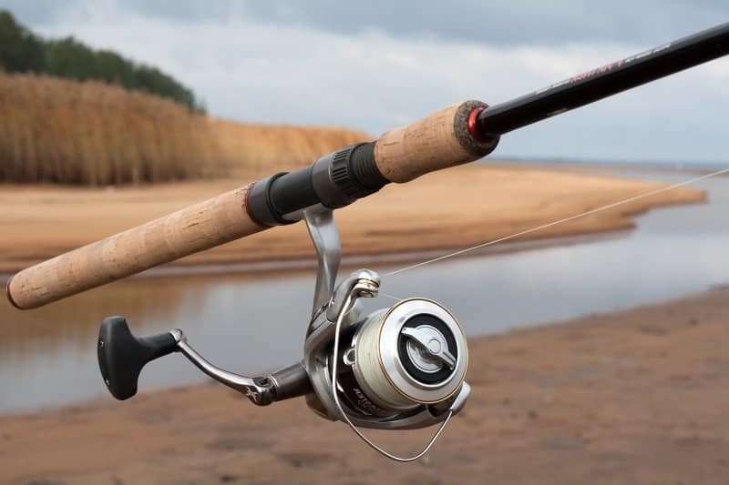Ловля окуня в Ленинградской области - уникальные отчеты, советы и фото