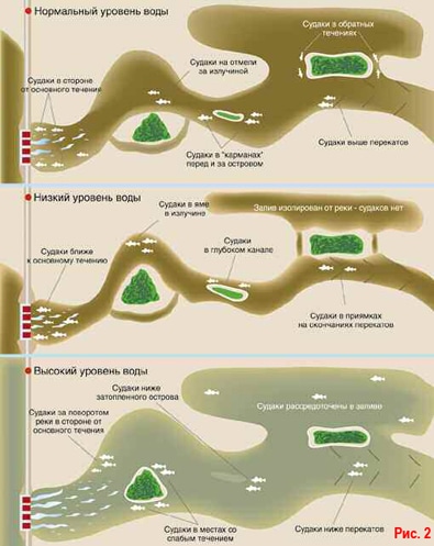 Ловля судака на дроп-шот: оснастка, монтаж с фото, подача и проводка