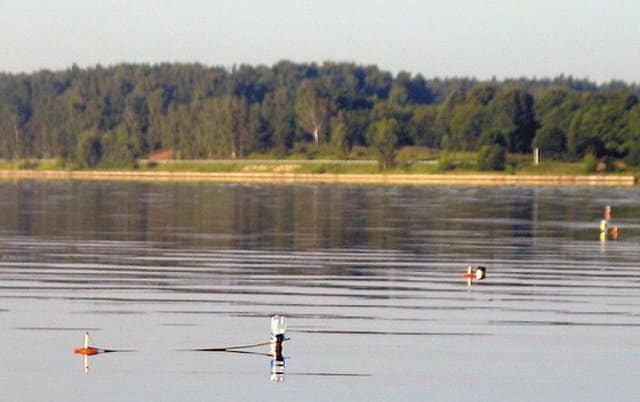 Ловля щуки на кружки осенью - как оснастить, техника ловли