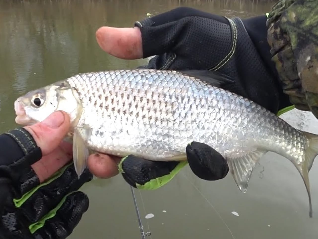 Рыбалка в Астрахани и Астраханской области в зависимости от сезона