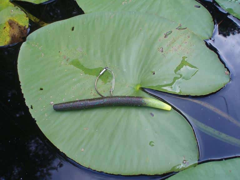 Оснастка вэки по пассивной рыбе: виды монтажа, проводка приманки