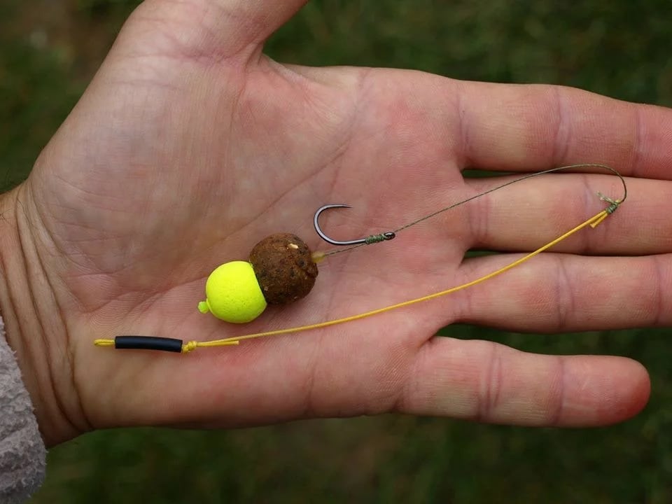 Азы карпфишинга для начинающих от профессионала - как поймать карпа?