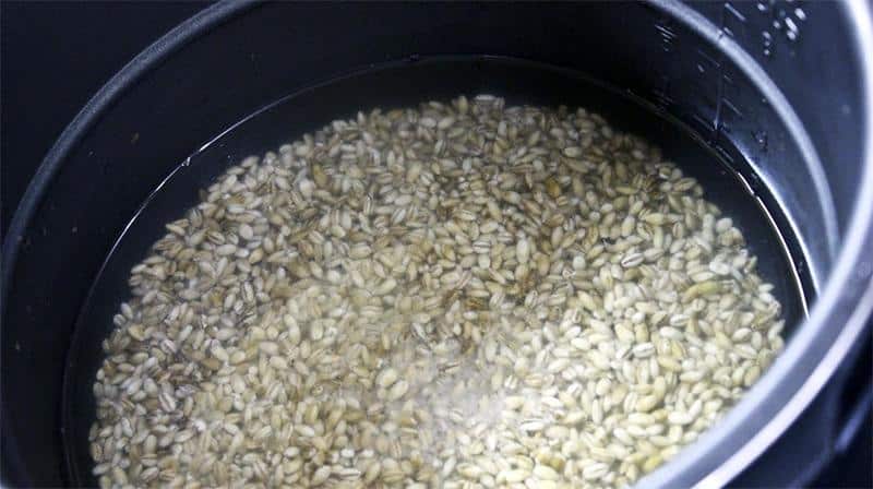 Как сварить и запарить перловку для рыбалки: рецепты прикормки и насадки