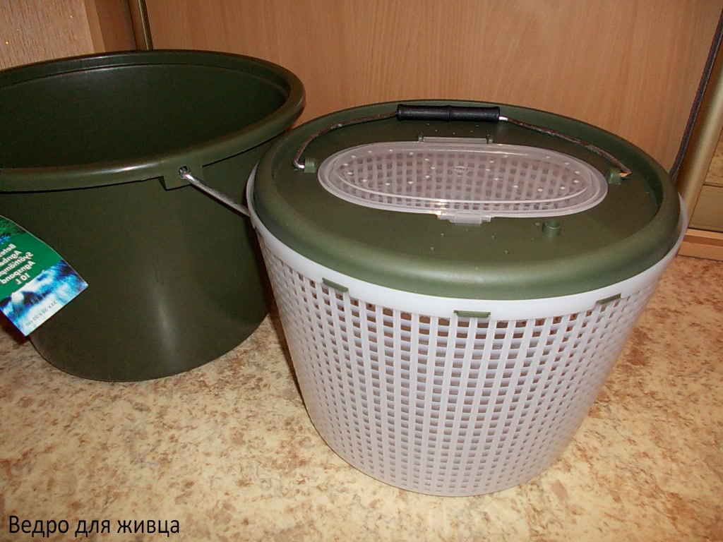 Как поймать осенью живца, сохранить и перевезти на место рыбалки