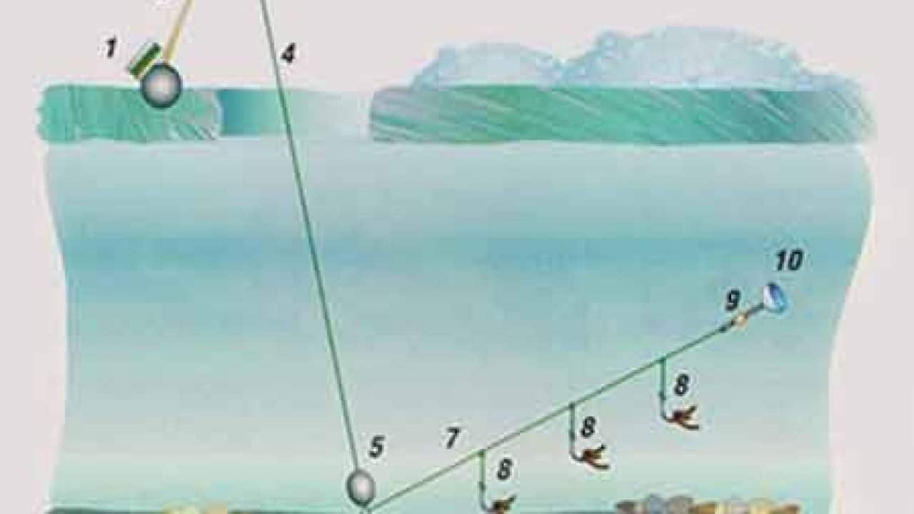 Ловля леща с лодки и берега на поплавок, донку, фидер