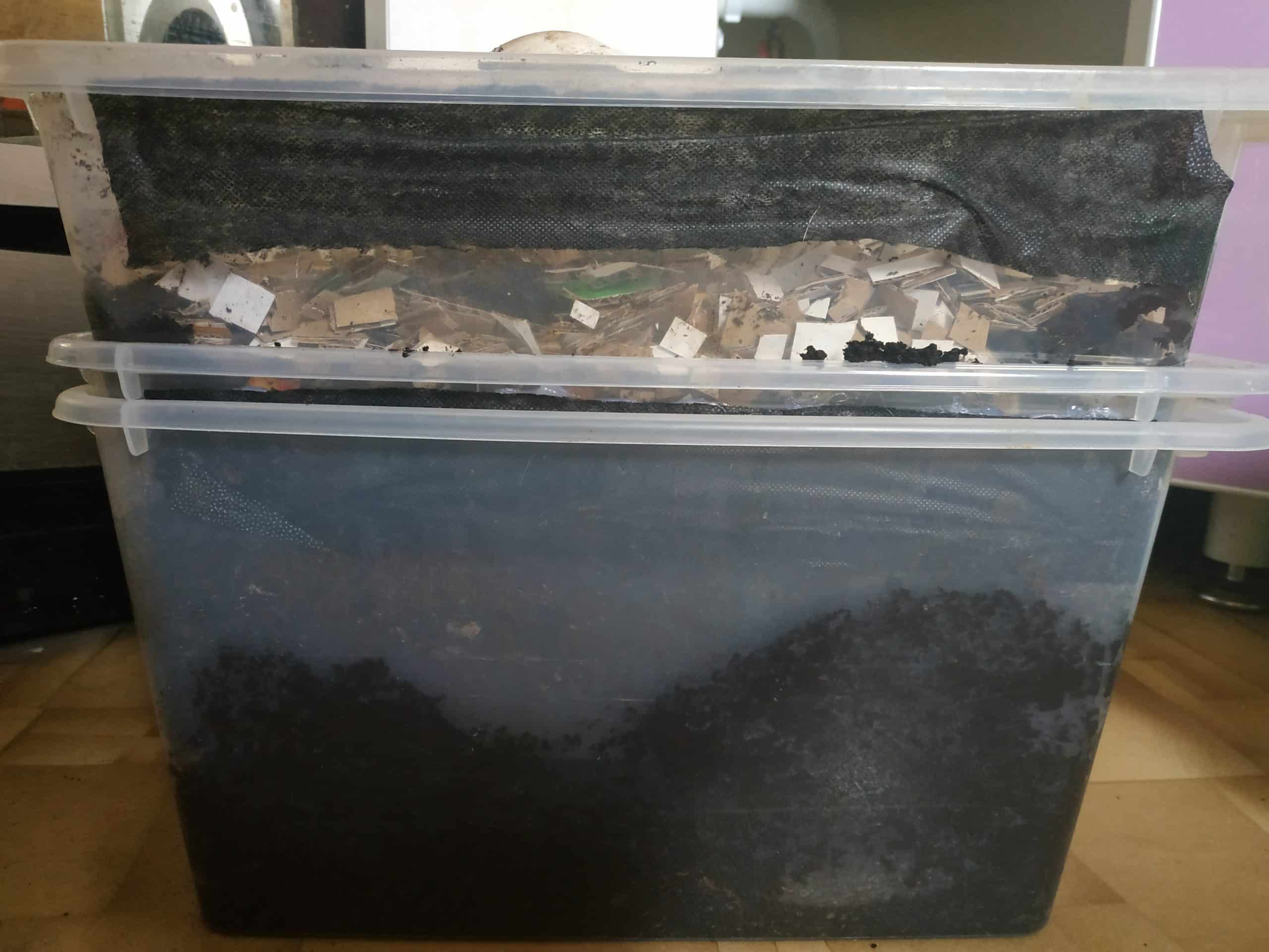 Как развести червей для рыбалки в домашних условиях