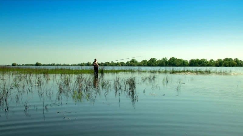 Ловля воблы в Астрахани весной - когда, как, где и на что ловить?