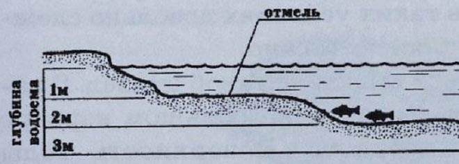 Ловля карася на фидер в стоячей воде: сбор снасти, секреты и тактика