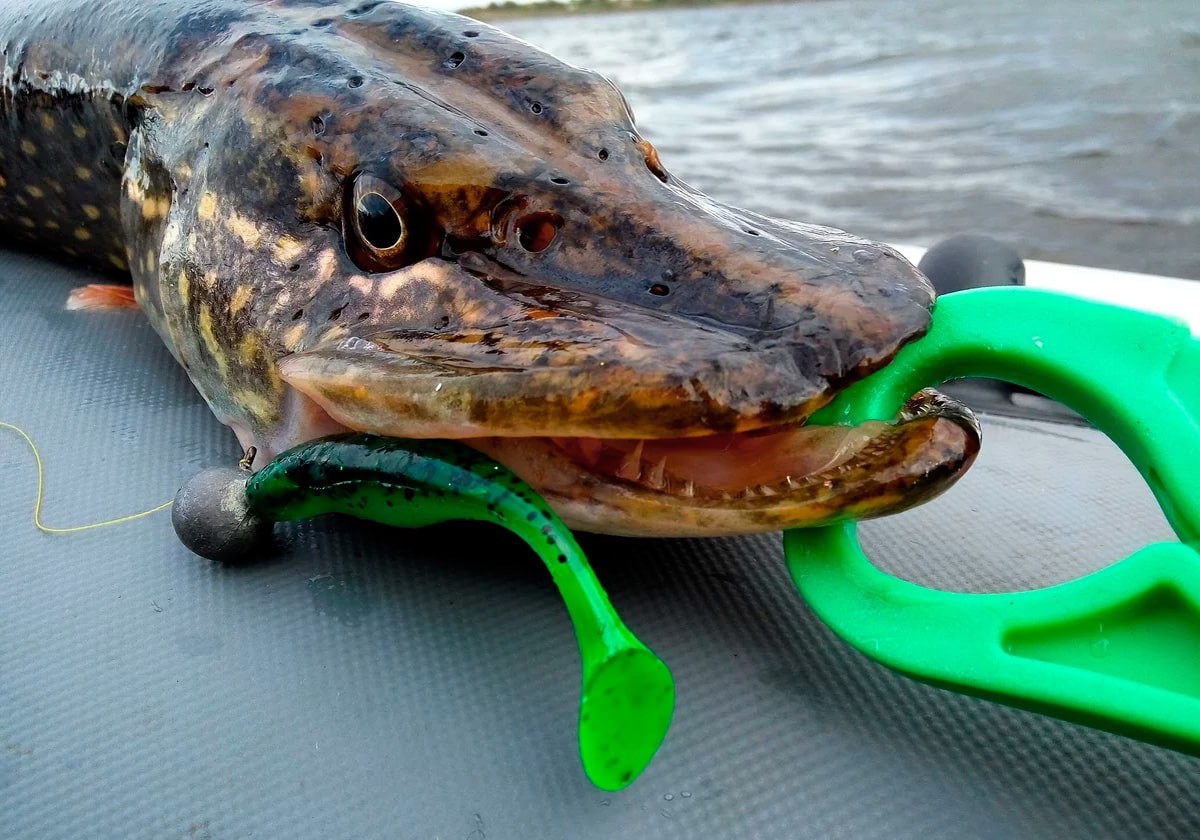 Виброхвост на щуку