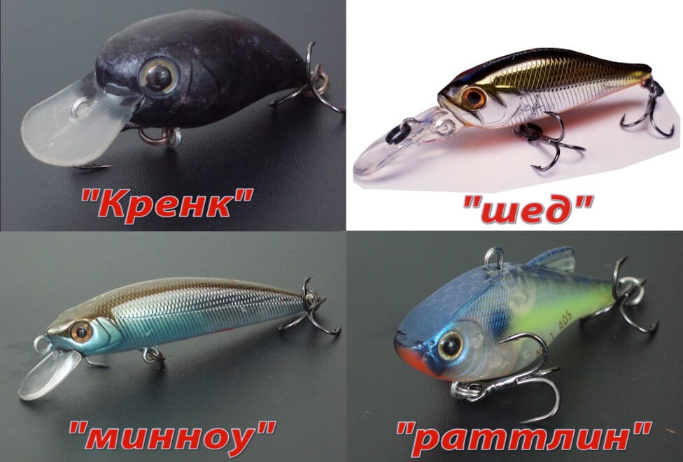 Лучшие воблеры на голавля: ТОП-50 уловистых моделей, как ловить лобастого