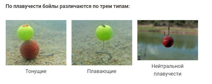 Изготовление и ловля карпа на бойлы: актуальные рецепты, монтаж снасти