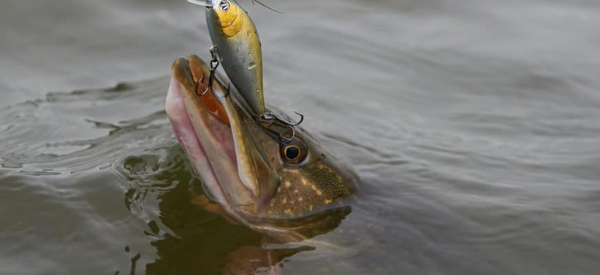 Как выбрать и сделать титановый поводок своими руками - инструкция с фото