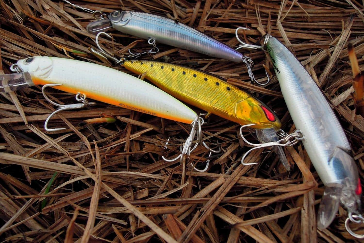 Что такое воблеры минноу, правильный выбор и подход к твичингу