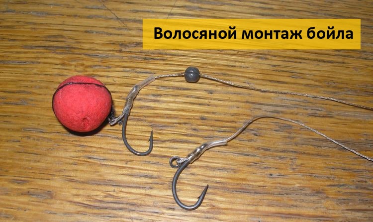 Бойлы Dynamite Baits и другая продукция Динамит бейтс для карпа