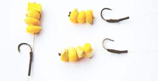 Ловля карпа ранней и поздней весной: на что ловить и как подать