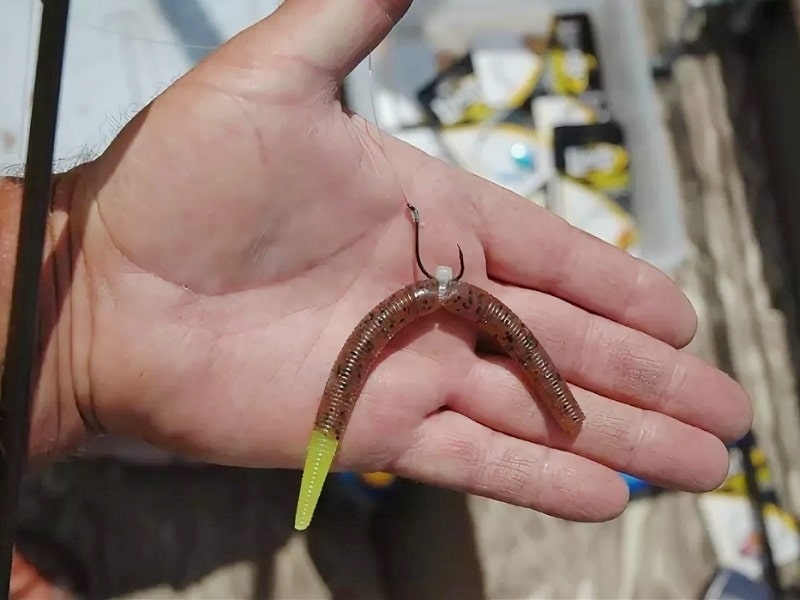 Оснастка вэки по пассивной рыбе: виды монтажа, проводка приманки