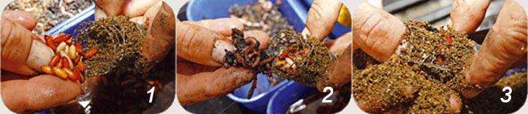 Лучшая прикормка для леща зимой для приготовления в домашних условиях и покупная