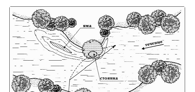 Как ловить язя осенью: снасти, приманки и тактика поиска