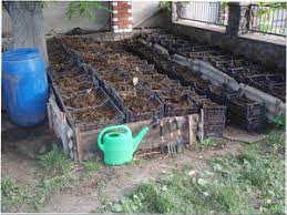 Как развести червей для рыбалки в домашних условиях