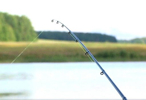 Когда уместна ловля на пикер, как собрать снасть, техника ловли