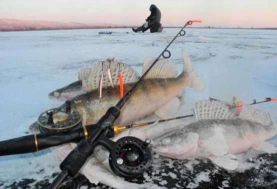 Выбираем катушки для зимней рыбалки для разных типов снастей и удочек