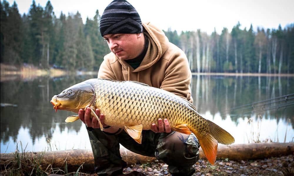 Ловля карпа ранней и поздней весной: на что ловить и как подать
