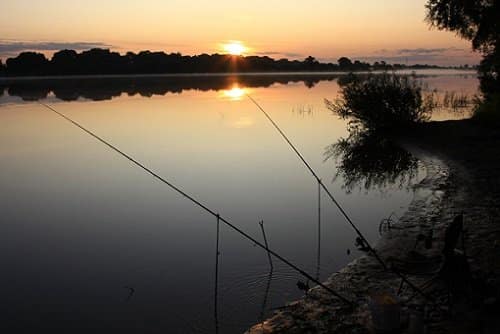 Ночная рыбалка осенью - судак, лещ, налим и другие