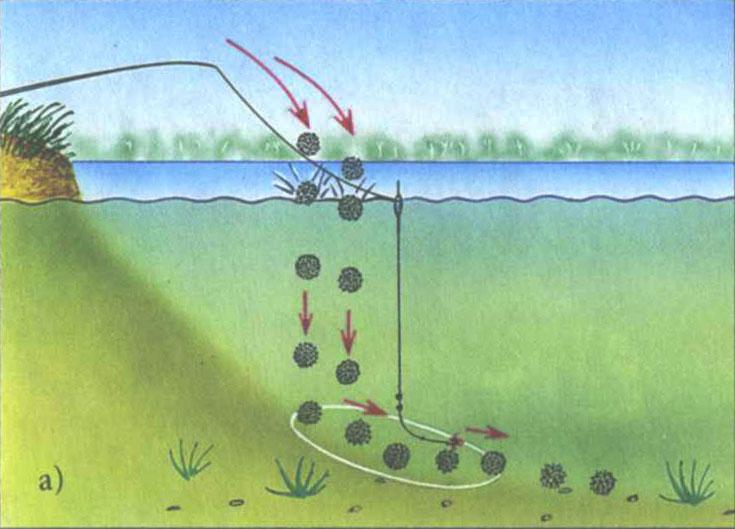 Лучшая прикормка для карпа - рецепты, аттрактанты по холодной и теплой воде