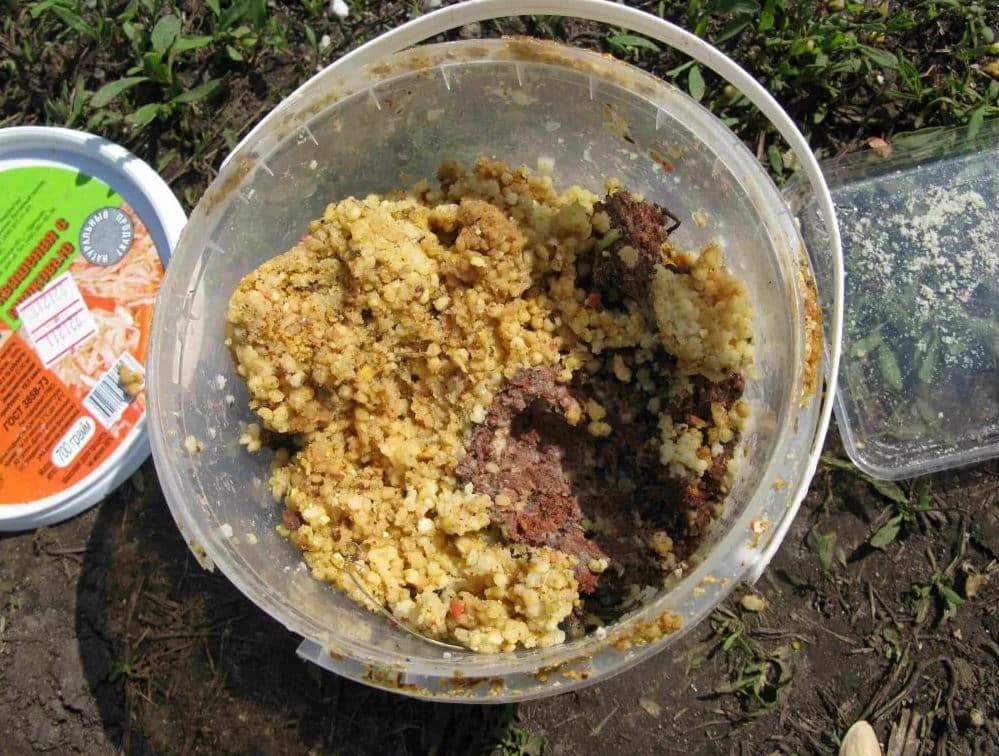 Рыбалка на карпа на поплавочную удочку летом, весной и осенью